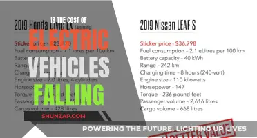 Electric Vehicles: Falling Costs, Rising Popularity