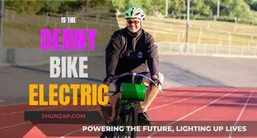 The Evolution of Electric Derny Bikes: Are They Electric?