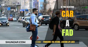 Electric Cars: Sustainable Revolution or Passing Fad?
