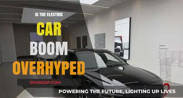 Electric Car Hype: Reality Check or Overblown Expectations?