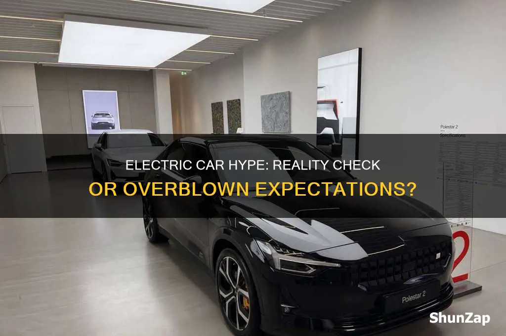 is the electric car boom overhyped