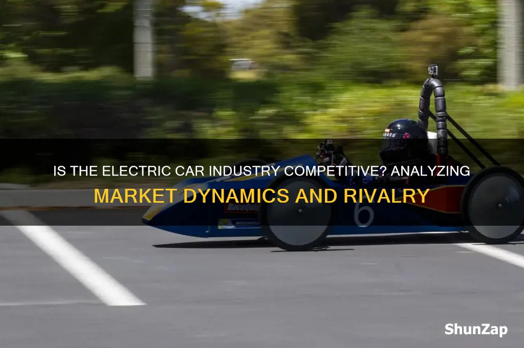 is the electric car industry competitive