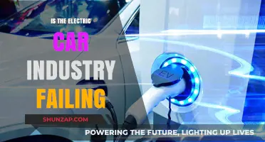 Is the Electric Car Industry Failing? Challenges and Realities Revealed