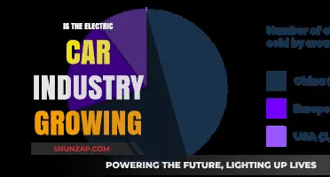 Electric Car Industry Growth: Trends, Challenges, and Future Prospects
