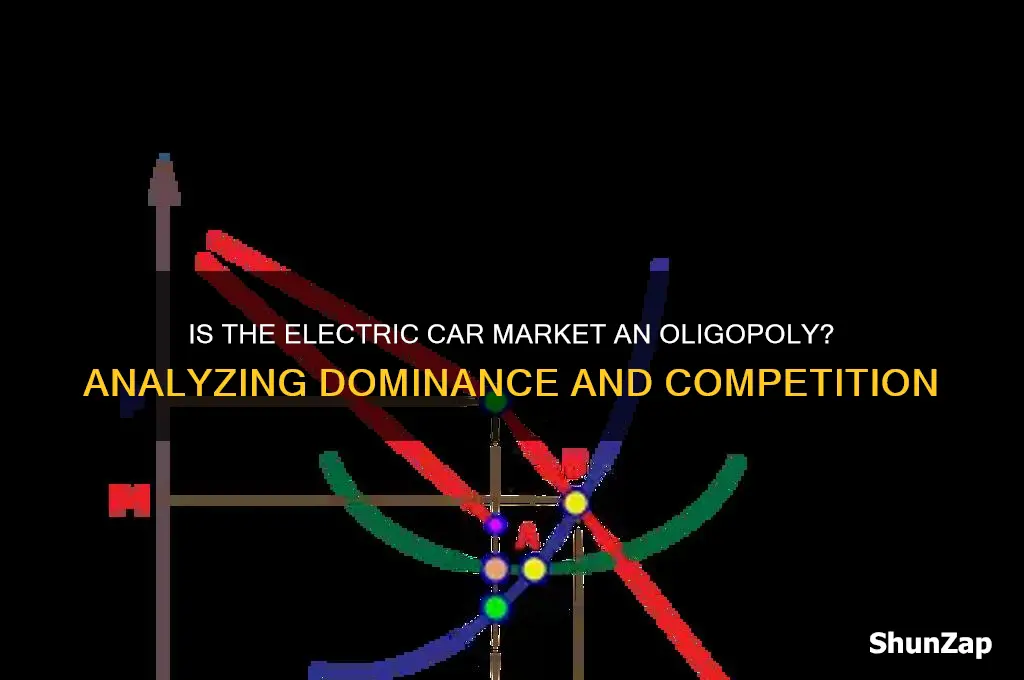 is the electric car market an oligopoly