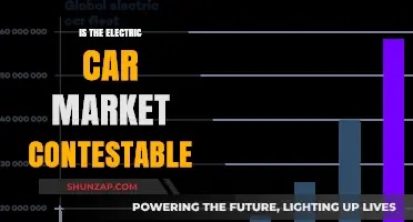 Is the Electric Car Market Contestable? Barriers, Opportunities, and Future Outlook