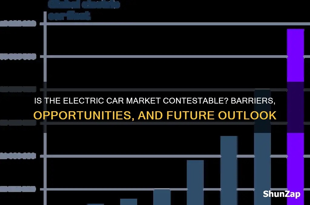 is the electric car market contestable