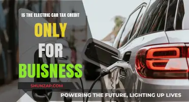 Electric Car Tax Credit: Business Exclusive or Open to All?