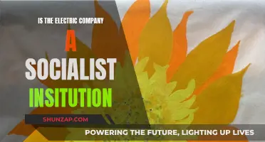 Electric Companies: Socialist Institutions or Capitalist Utilities?