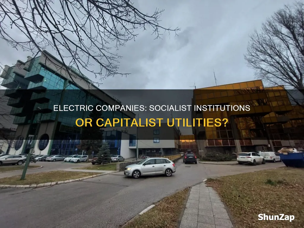 is the electric company a socialist insitution