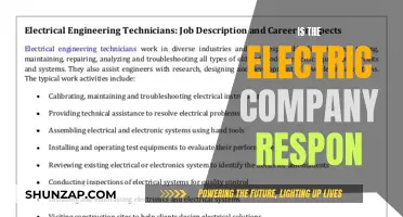 Electric Company's Responsibility: Who's Accountable for Power Outages?