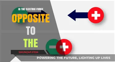 Electric Force: Exploring Nature's Opposites