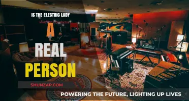 The Electric Lady: A Real Person or Myth?