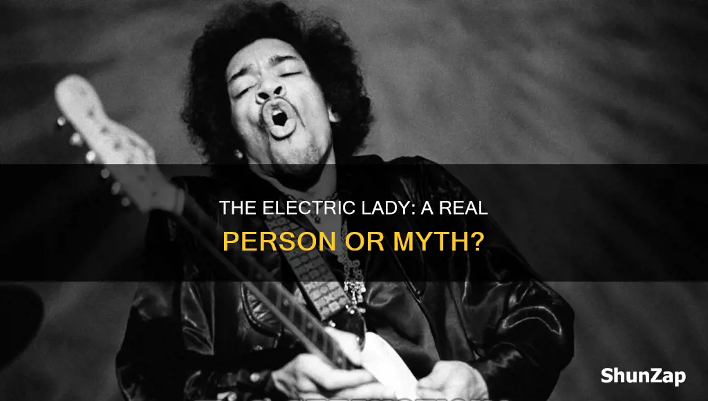 is the electric lady a real person