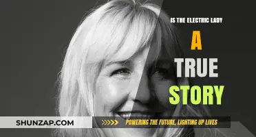 Electric Lady: Fact or Fiction?