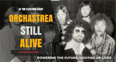 Electric Light Orchestra: Still Rocking or Fizzled Out?