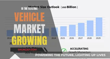 Electric Vehicle Market: Rapid Growth and Future Prospects