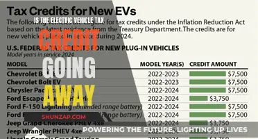 Electric Vehicle Tax Credit: Future Uncertain, Buyers Scramble