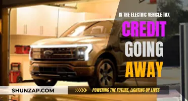 Electric Vehicle Tax Credit: Will It Disappear?