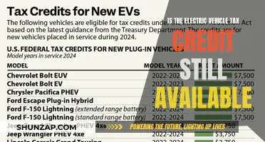 Electric Vehicle Tax Credit: Still Available for Your Next Purchase?