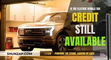 Electric Vehicle Tax Credit: Is It Still Accessible?