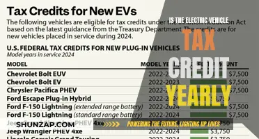 Electric Vehicle Tax Credit: Annual or One-Time?