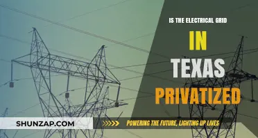 Texas Power Grid: Public or Private?
