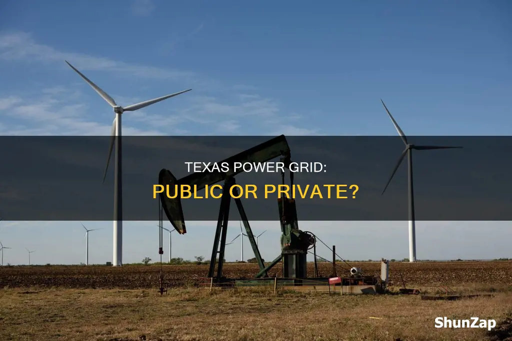 is the electrical grid in texas privatized