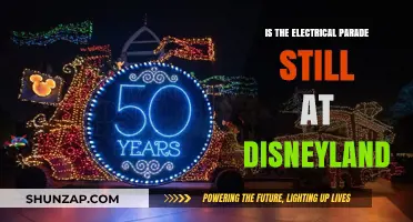 Electrical Parade: Disneyland's Illuminating Spectacle Returns?