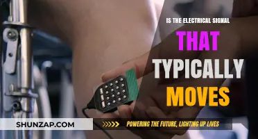 Electrical Signals: Moving with a Purpose