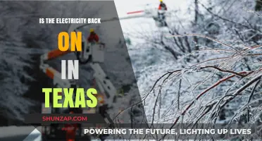 Texas Electricity Crisis: Power Back On?