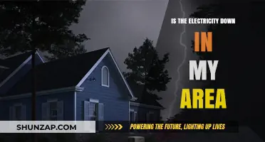 Local Power Outage: What You Need to Know