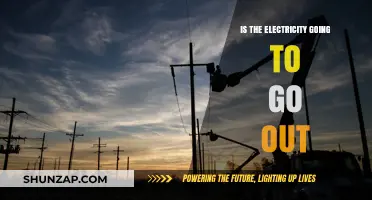 The Power Grid: Will the Lights Go Out?