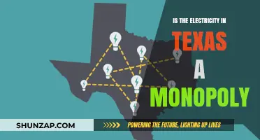 Texas Electricity: Monopoly or Competitive Market?