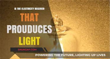 How Light Bulbs Receive and Transform Electrical Energy