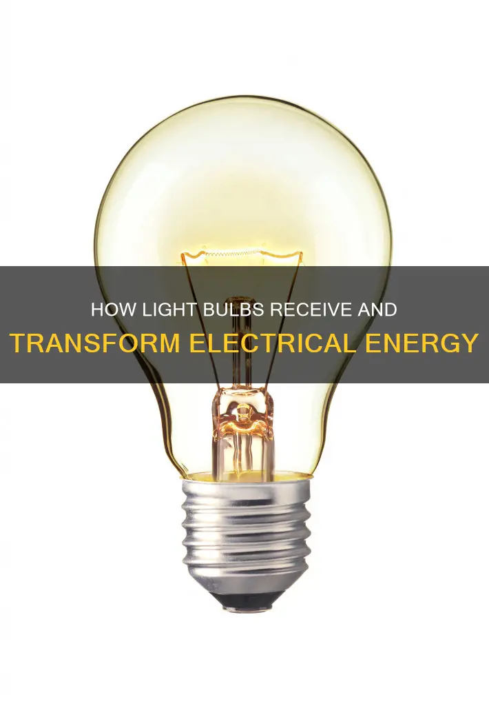 is the electricity receiver that prouduces light