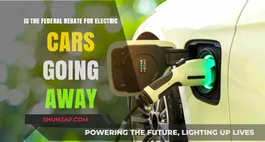 Will Federal Electric Car Rebates Disappear? What Buyers Need to Know