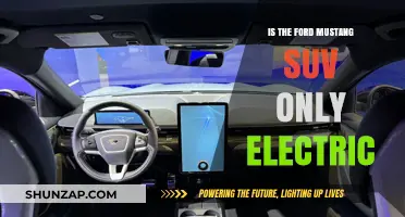 Ford Mustang SUV: Electric or Not?
