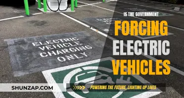 The Push for Electric Vehicles: Government Intervention and Impact
