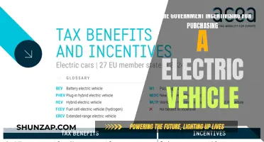 Government Incentives: Are They Enough to Go Electric?