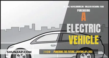 Government Incentives: Electric Vehicles Worth the Switch?