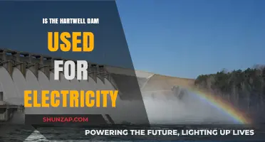 Hartwell Dam's Role in Electricity Generation: A Comprehensive Overview