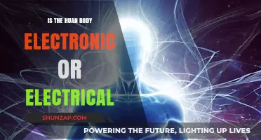 Human Body: Electrical or Electronic?