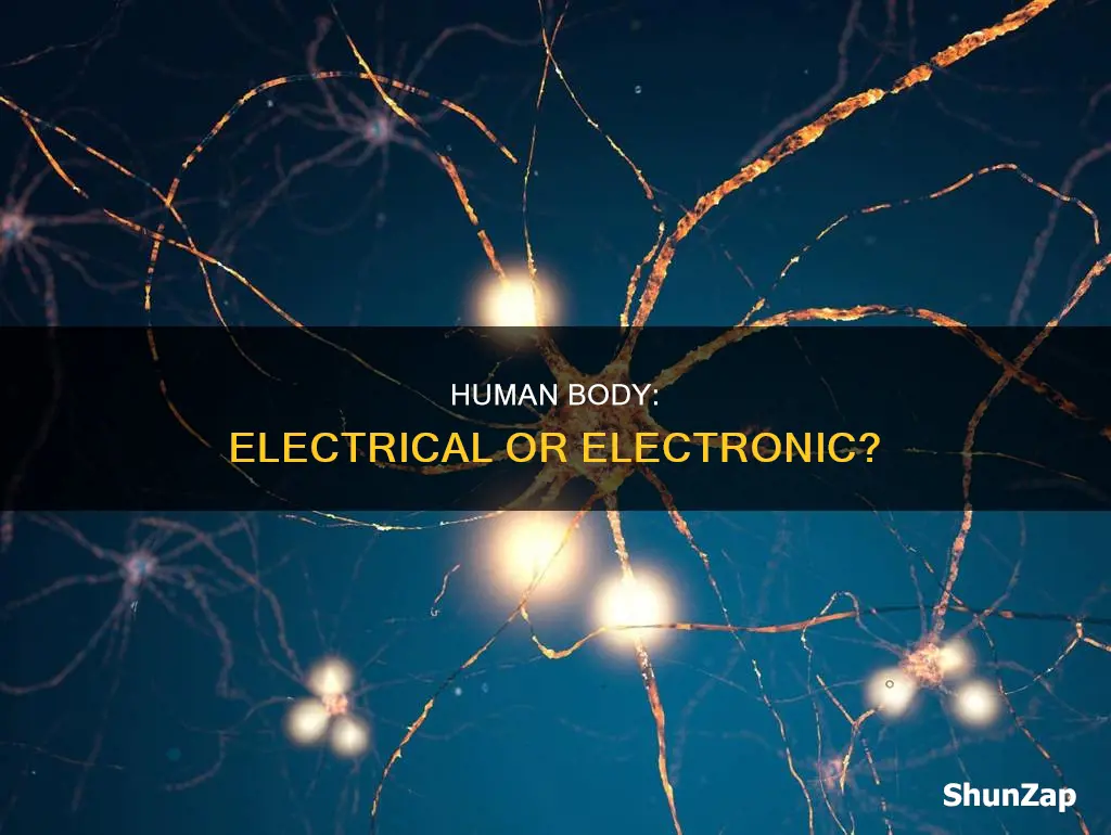 is the huan body electronic or electrical
