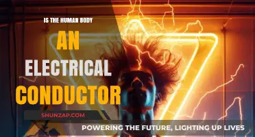 Human Body: Electrical Conductor or Not?