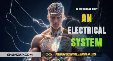 The Human Body: An Electric System?