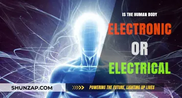 The Human Body: Electrical or Electronic?