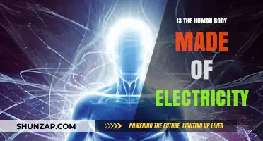 Electric Humans: Our Bodies and Electricity