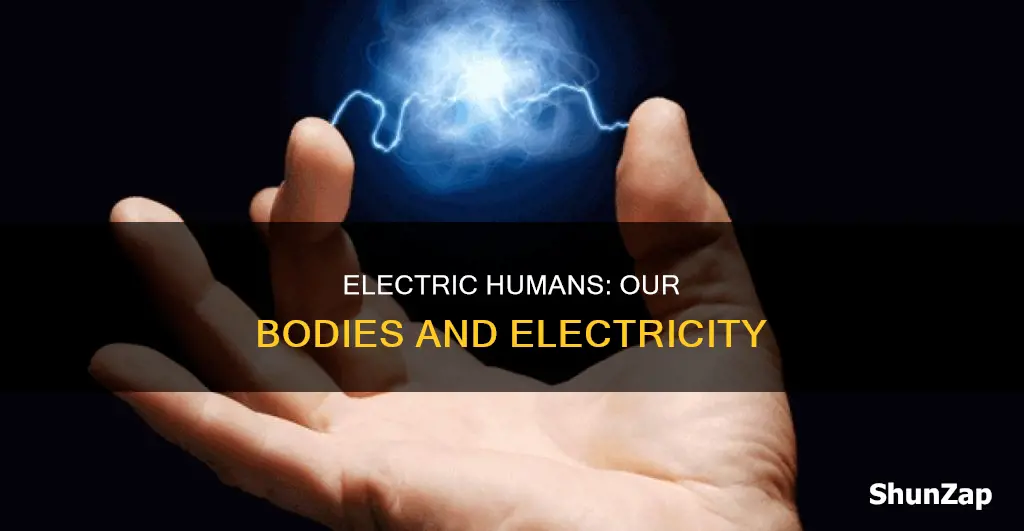 is the human body made of electricity