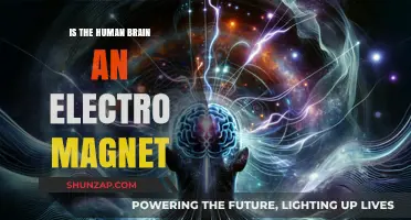 The Human Brain: Electromagnetism and its Power